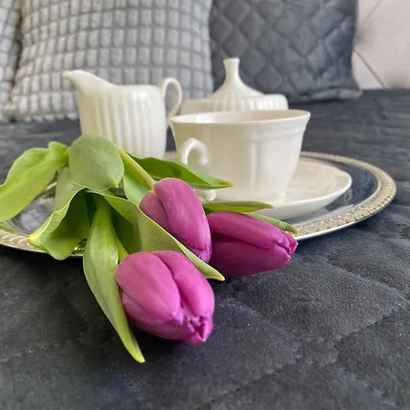 Compass Apartament *