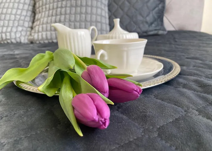 Compass Apartament *